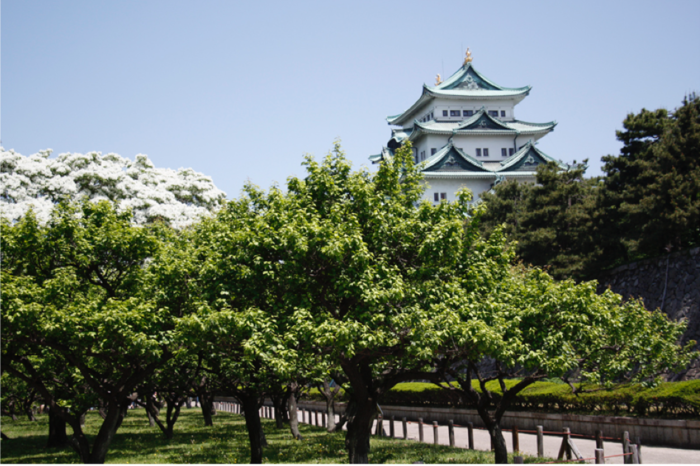 img_nagoyajo.png