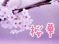 img_performance_12_桜華.png