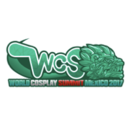 icon_team17_mexico.png