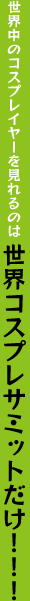 世界中のコスプレイヤーを見れるのは 世界コスプレサミットだけ！！！